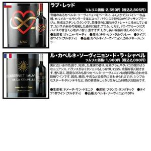 ワイン ワインセット 赤ワイン 当店ソムリエが...の詳細画像5
