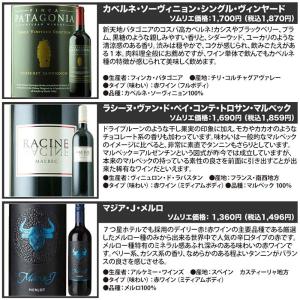 ワイン ワインセット ミックス 金賞入り J....の詳細画像5