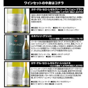 ワイン ワインセット 白ワイン ベストセラー白...の詳細画像2