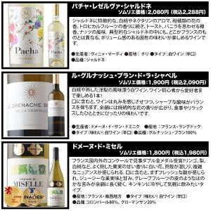 ワイン ワインセット 白ワイン ベストセラー白...の詳細画像4