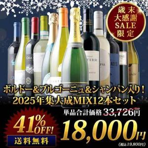 ボルドー＆ブルゴーニュ＆シャンパン入り！2025年集大成MIX12本セット