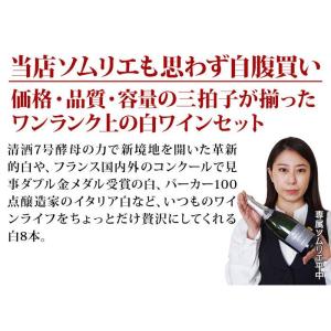 ワイン ワインセット 白ワイン 当店ソムリエが...の詳細画像2