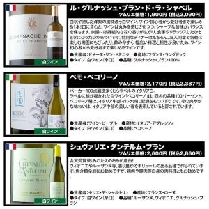 ワイン ワインセット 白ワイン 当店ソムリエが...の詳細画像3