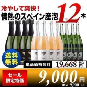 ワイン ワインセット スパークリングワイン 冷やして爽快！情熱のスペイン産スパークリング12本セット 送料無料 SALE