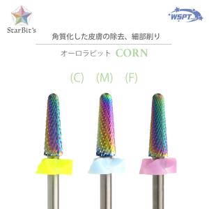JNEC認定 STモデルハンド 3点セット ネイルチップ/ルース