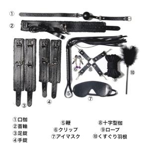 セクシー道具10点セット コスチューム パーテ...の詳細画像1