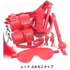 セクシー道具10点セット コスチューム パーテ...の詳細画像3