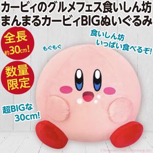 マイクロブタのピグともだち 超BIGぬいぐるみ/全長48cmの超大きな人形