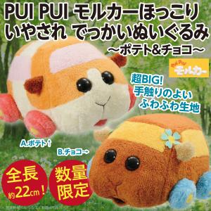 PUI PUI モルカー ほっこりいやされ でっかいぬいぐるみ ポテト＆チョコ/全長約22cmの超BIGサイズ人形 公式 新品｜wtpkikaku