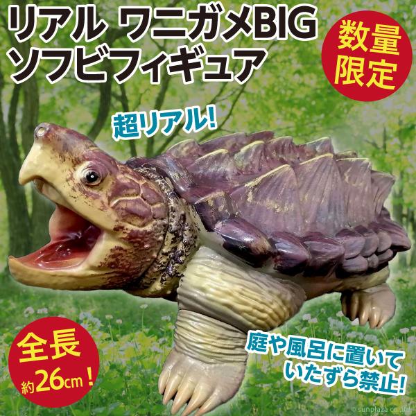 リアル ワニガメBIG ソフビフィギュア/約26cm 鰐亀 ソフビ人形  新品