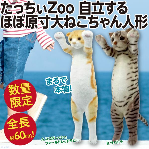 たっちぃZoo 自立する ほぼ原寸大ねこちゃん人形/猫 ネコ ぬいぐるみ 全長約60cm とにかく大...