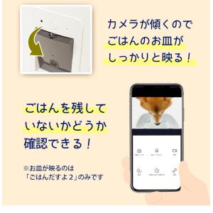 ペットカメラ 自動給餌器 自動餌やり機 100...の詳細画像5