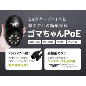 防犯カメラ PoE 防犯灯カメラ 夜間カラー ...の詳細画像3