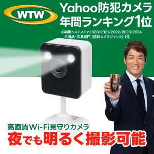 Google GA09973-JP セキュリティカメラ Nest Cam Indoor Snow