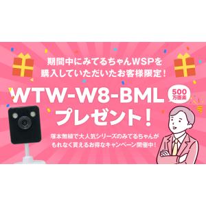 防犯カメラ 防犯カメラ アンテナ内蔵 1インチ...の詳細画像4