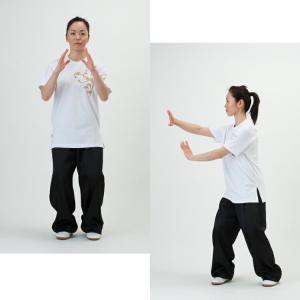 サテン太極拳パンツ カンフーパンツ ズボン ウ...の詳細画像2