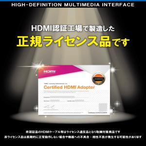 HDMIケーブル メス Eタイプ オス タイプ...の詳細画像1