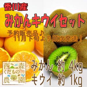 香川産 みかんキウイセット5kg［送料無料♪］