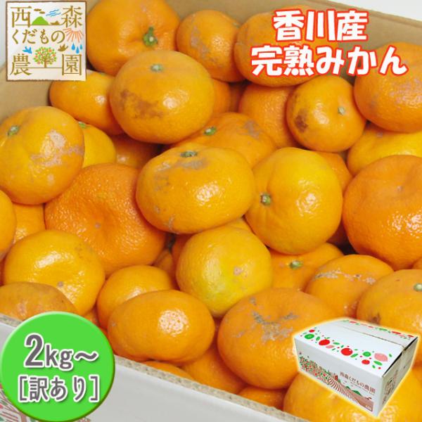 ＼早期発送！／香川産 訳ありみかん2kg・4kg・8kg［送料無料（北海道・沖縄除く）♪］早期発送！...