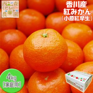 ＼ハウス栽培品今シーズン最後／香川産 紅みかん 5ｋｇ箱（箱込約5kg）［送料無料♪］お歳暮ギフトに♪