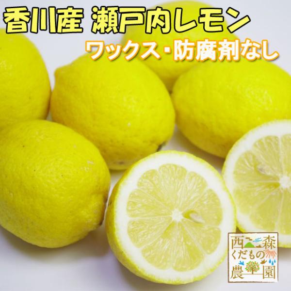 ＼早期発送／国産レモン1.5kg 香川産［送料無料♪］瀬戸内産 ノーワックス・防腐剤不使用 檸檬