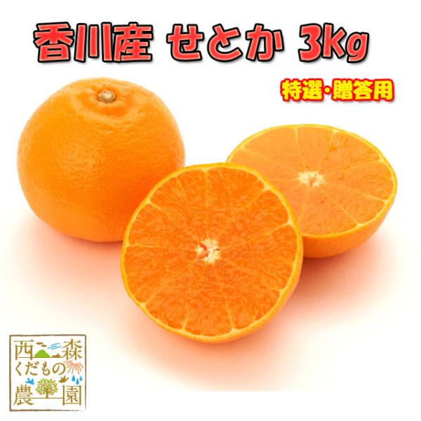 【予約3月下旬〜】みかんの大トロ♪香川産 せとか 3kg［秀品・贈答用］ 送料無料♪ 西森くだもの農...
