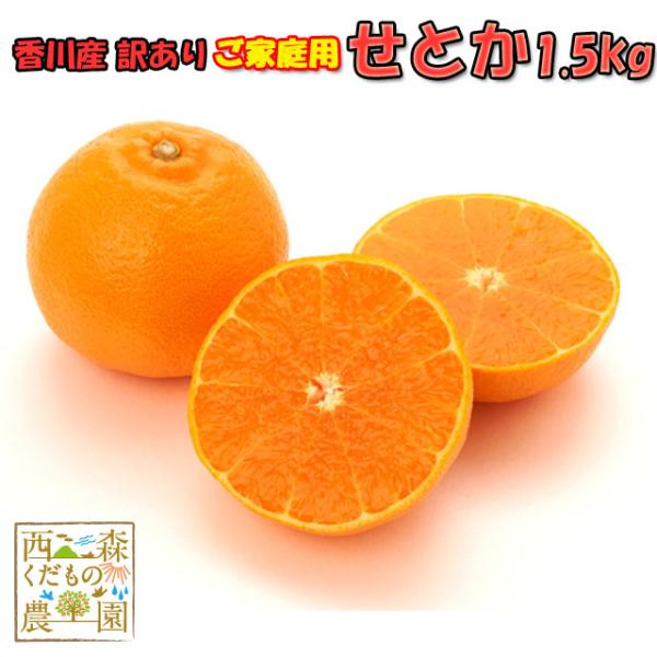 【予約3月下旬〜】みかんの大トロ♪香川産 せとか訳あり品 1.5kg・4kg・8kg［家庭用］ 送料...