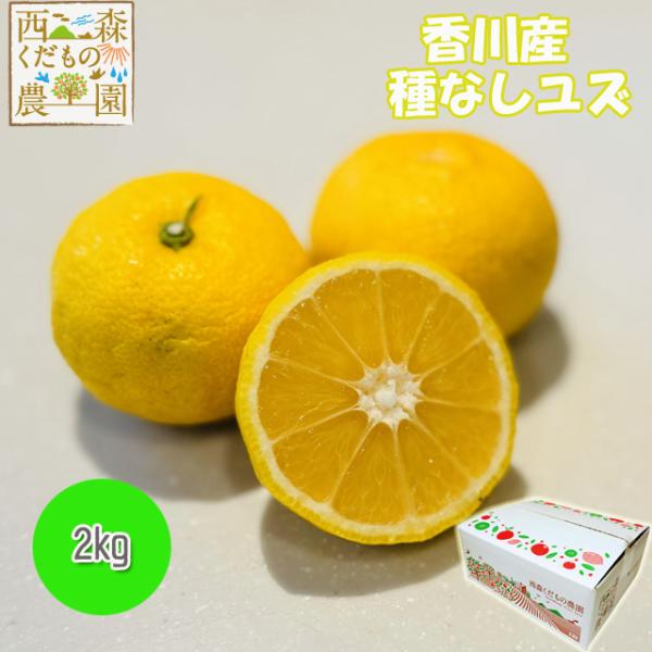 ＼無農薬・種がない希少な柚子／【送料無料】【農家直送】香川産 ユズ（多田錦）2kg箱（箱込み）