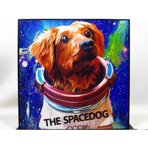 新品 No 356】 ポップアートパネル カウズ KAWS ピノキオ : ポップ