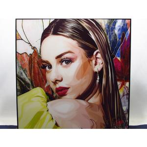 新品 No 177】 ポップアートパネル グレムリン ギズモ 映画 : ポップ