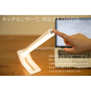 LEDランタン おしゃれ バーベキュー 照明 ...の詳細画像5