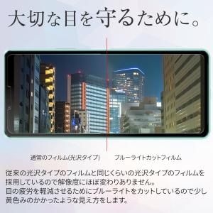 【安心の2枚セット】 Xperia 10 II...の詳細画像2