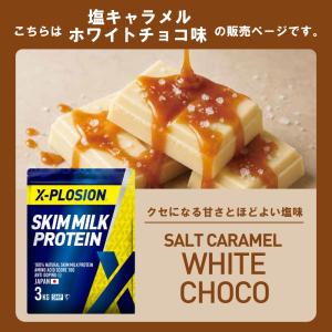 エクスプロージョン スキムミルクプロテイン S...の詳細画像1