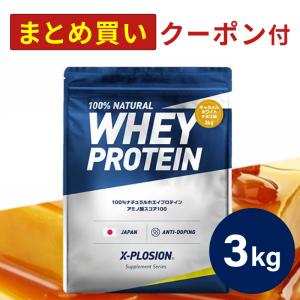 エクスプロージョン WPC 3kg キャラメルホワイトチョコ味 100%ホエイプロテイン 大容量｜X-PLOSION Yahoo!店