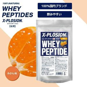 ゴールドジム（GOLD'S GYM） ホエイ ペプチド アミノコンプレックス