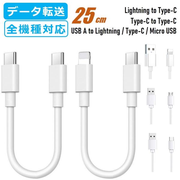 【2本セット】TYPE-C to TYPE-C C to Lightning iPhone 充電ケー...
