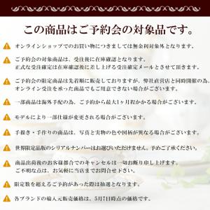 【予約会対象品】【お取り寄せ】 スワロフスキー...の詳細画像2