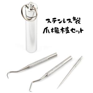 爪楊枝 ステンレス ピック つまようじ スケーラー