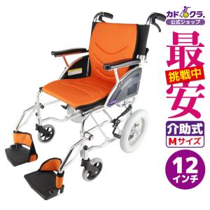 日進医療器 PIGLEOII (PIGLEO2) 子供用バギー 車椅子 障害児 軽量 耐