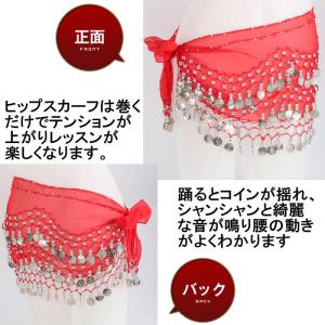 【レビューを書いてネコポス送料無料】ベリーダン...の詳細画像3