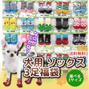 福袋 ペット用品 生き物 の商品一覧 通販 Yahoo ショッピング