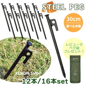 ペグ スチール製 16本 30cm 高強度 引抜穴付きペグ