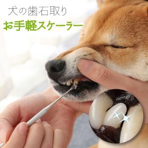 ペット用 歯石取り 安全 口腔ケア 器具 スケーラー 犬用