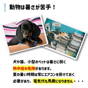 ネコポス便 ひんやり アルミプレート S M ...の詳細画像1