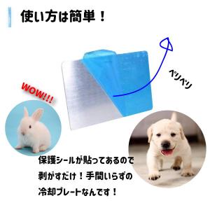ネコポス便 ひんやり アルミプレート S M ...の詳細画像3