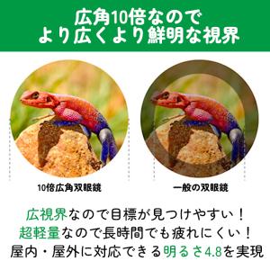 超軽量双眼鏡 10倍ズーム 22mm口径 小型...の詳細画像1
