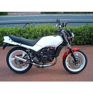 パッソルチャンバー(seastyle) パッソルチャンバー メッキタイプ 【 ゼス original チャンバー