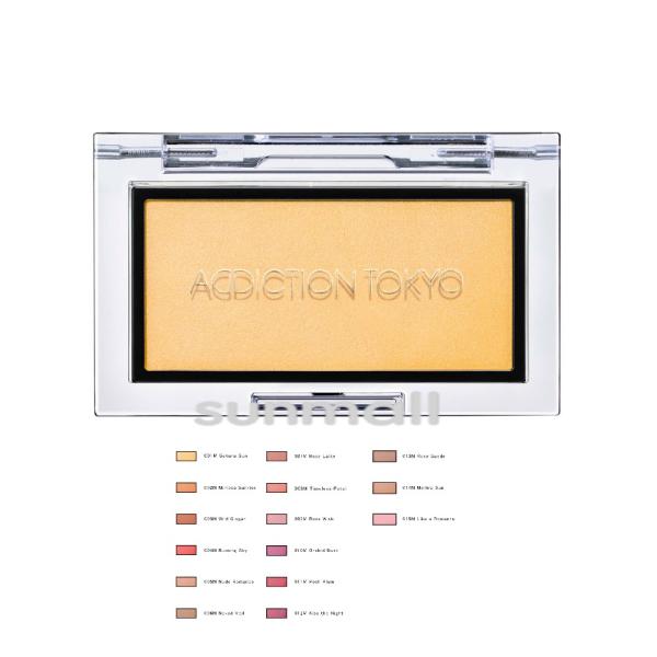 addiction アディクション ザ ブラッシュ マット 2.8g／パウダーチーク 正規品 素肌の...