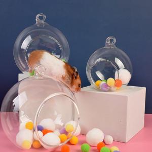 チンチラハウス 小動物用おもちゃ の商品一覧 小動物用品 ペット用品 生き物 通販 Yahoo ショッピング