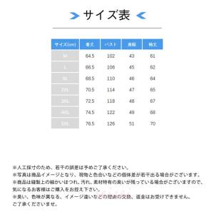 マウンテンパーカー メンズ パーカー ジャケッ...の詳細画像5